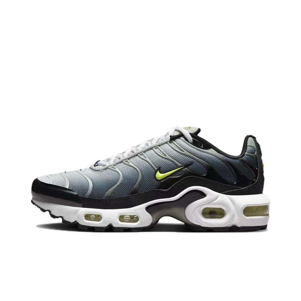 Nike Big Kids Air Max Plus Remaster CD0609 022